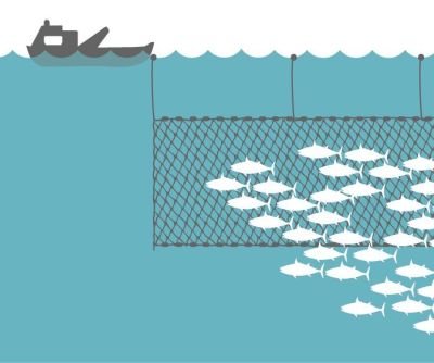 Gilnet Fishing